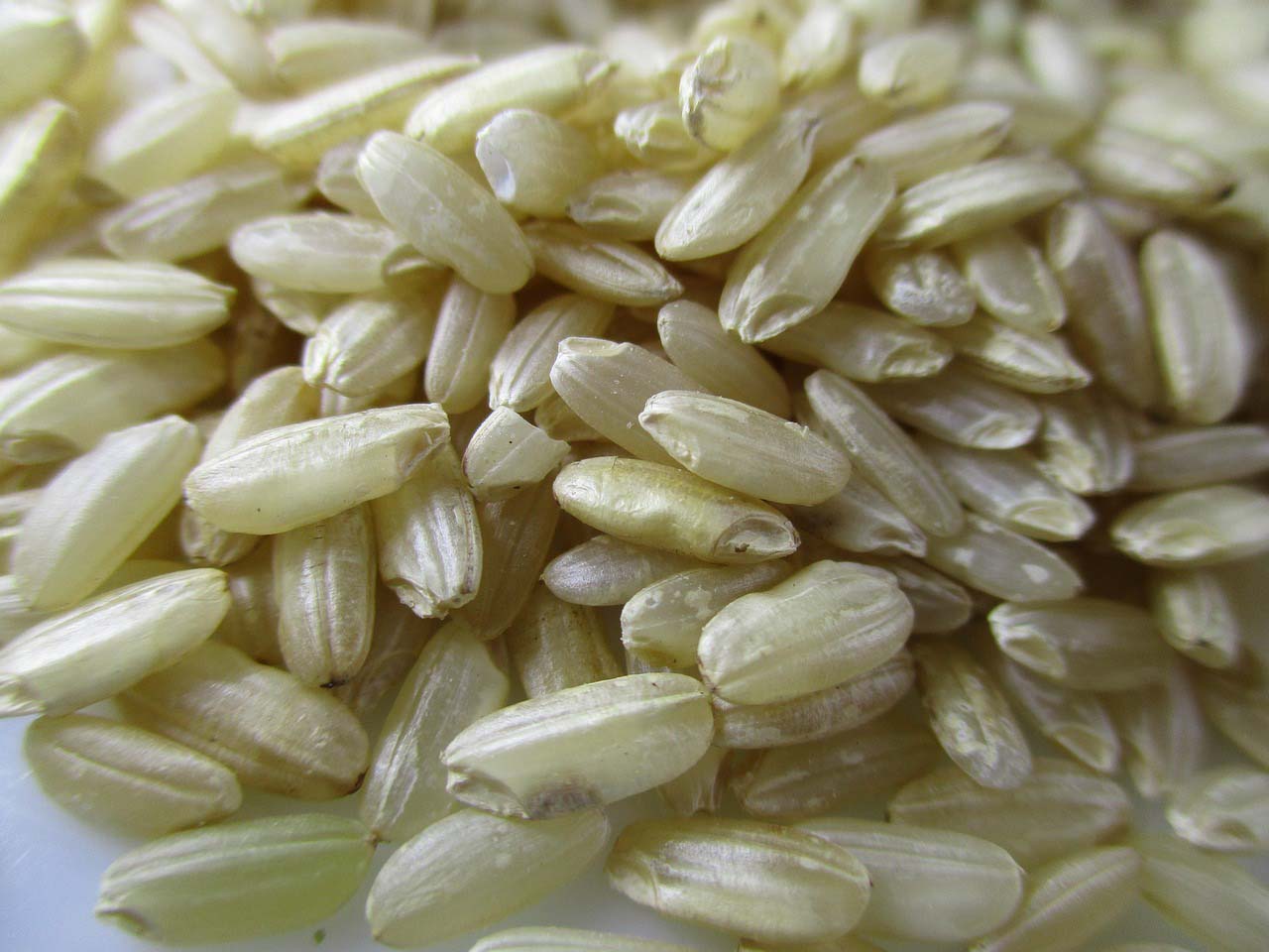 هل الأرز الأسمر أفضل من الأرز الأبيض ولماذا؟